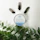 A circular container labeled 'Peppermint Eucalyptus Hemp Soothing Salve' is placed on a light background. Around it are three quartz crystals and green leafy stems.