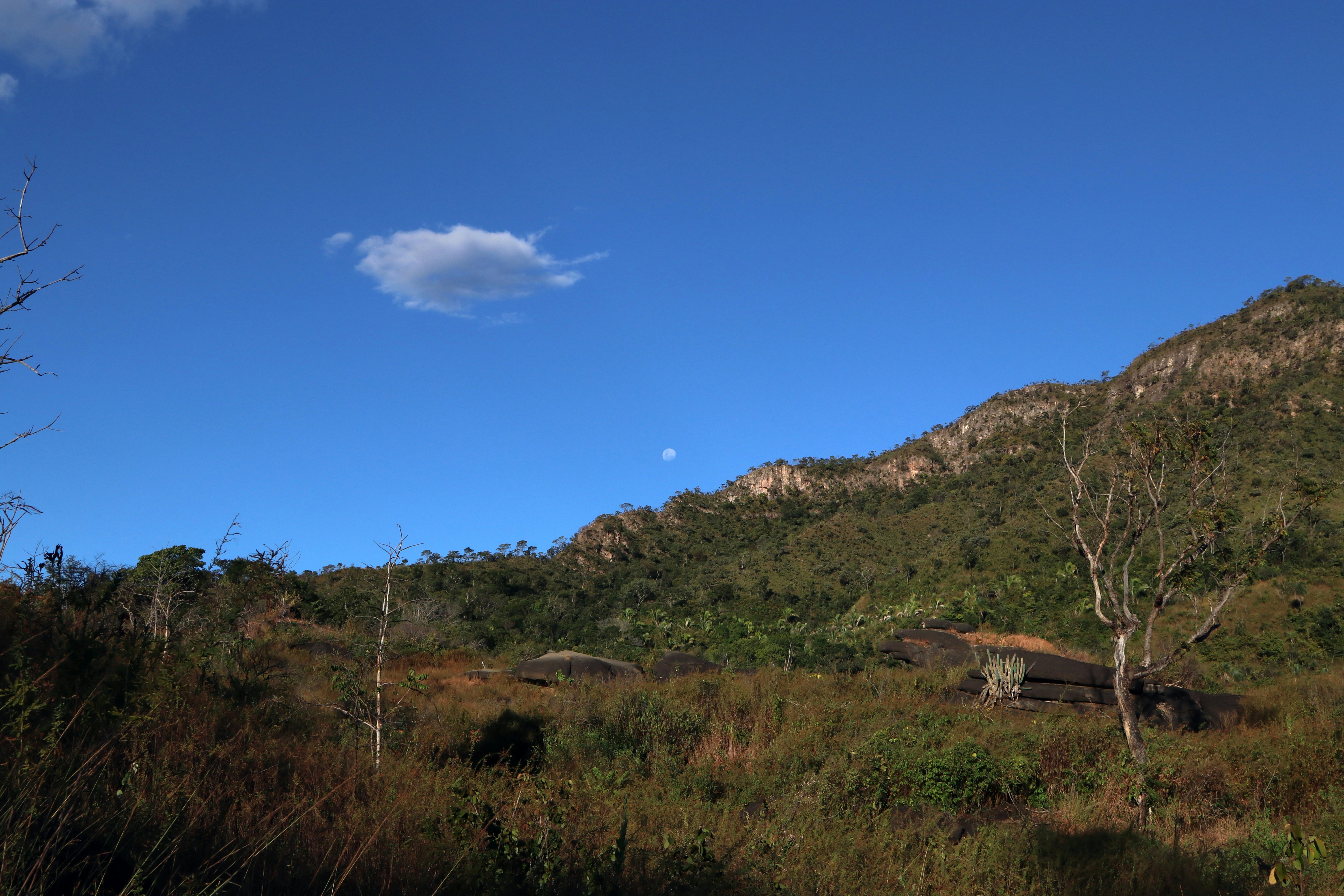 Photo by marcusdallcol