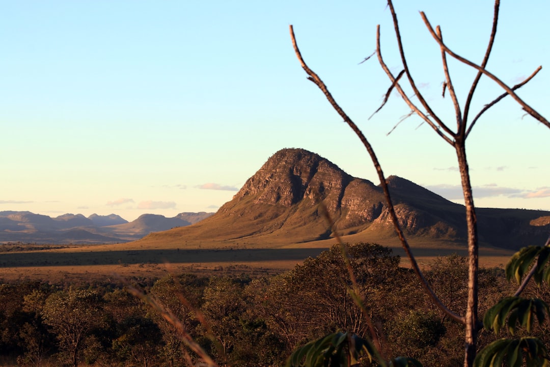 brown mountain