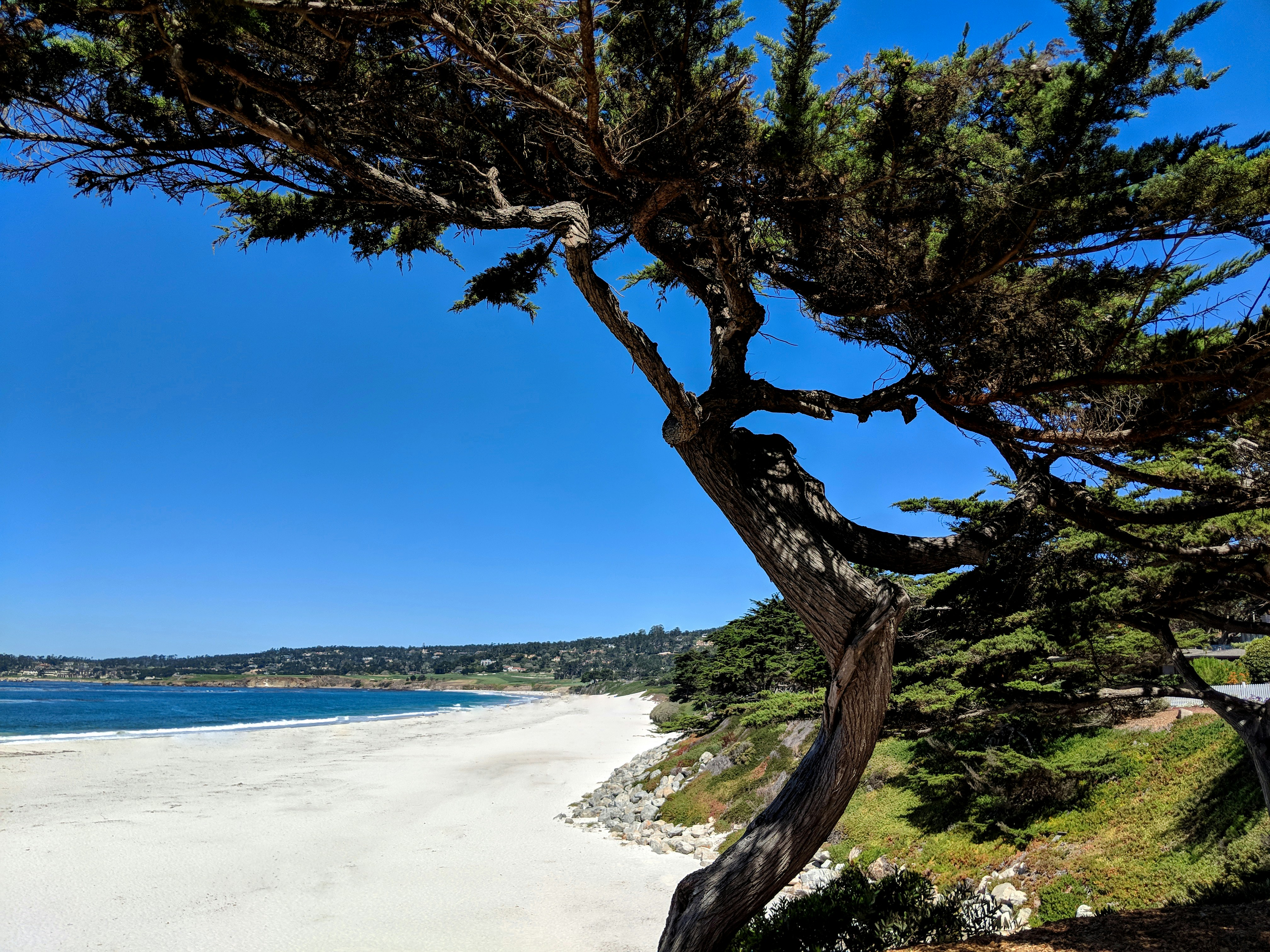Best Hotels in Carmel, CA