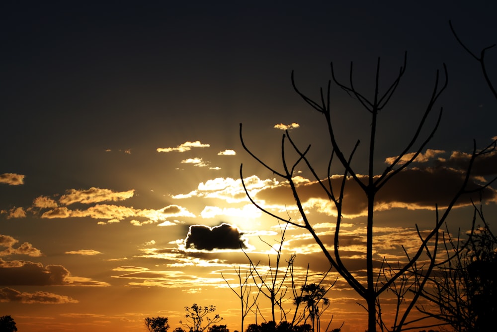 the sun is setting behind some trees