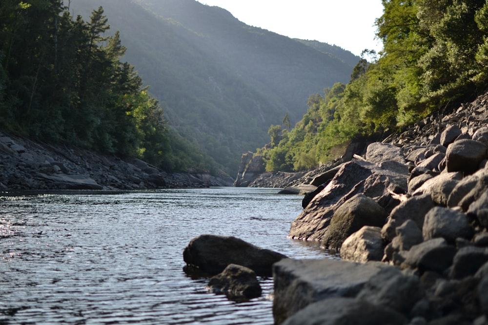 rock formation near body of water and tress during daytime