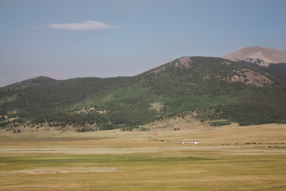 brown field viewing green mountain under blue skies