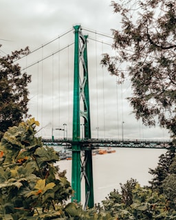 green suspension bridge