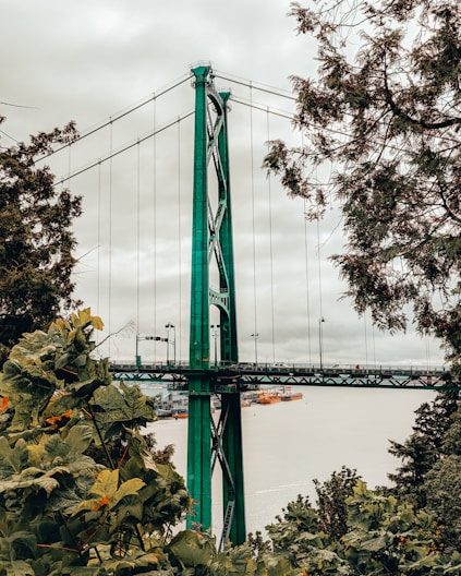 green suspension bridge