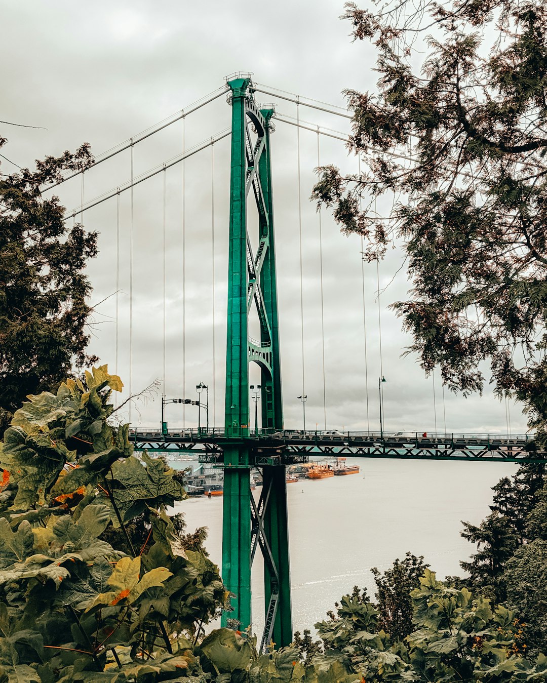 travelers stories about Suspension bridge in 5601 Stanley Park Dr, Canada