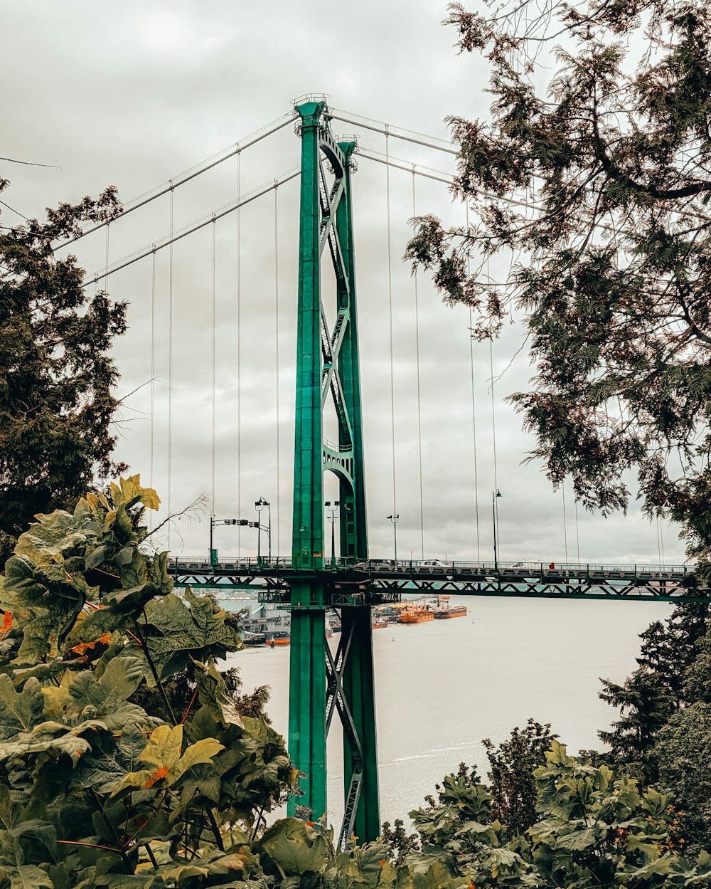 green suspension bridge