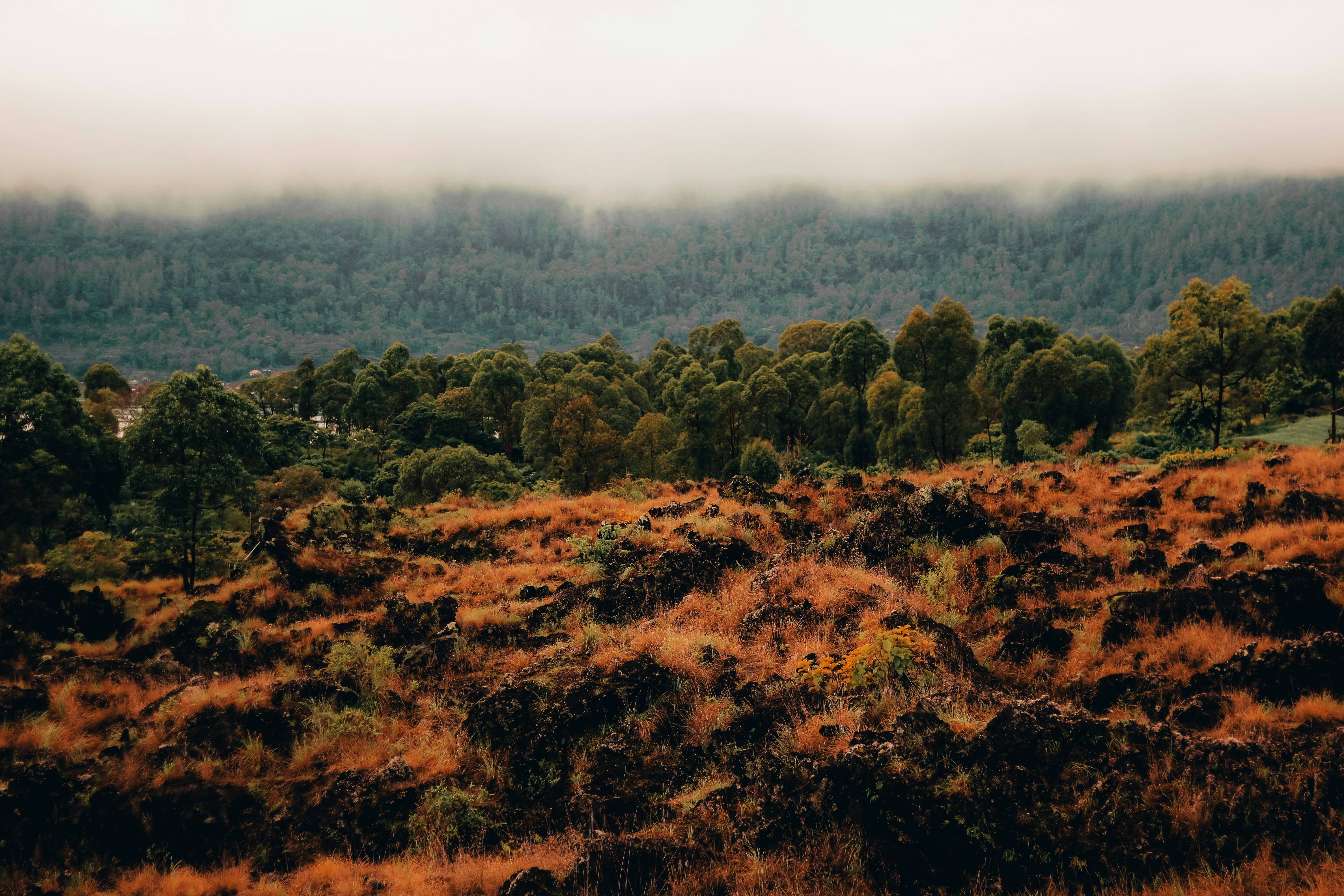 Photo by marcotjokro