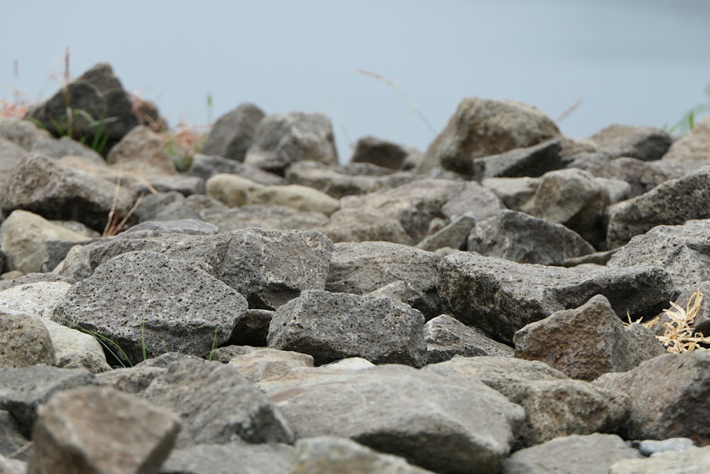 Lote de piedra gris