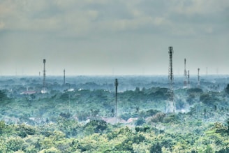 Close-up of IoT sensors embedded in forest soil transmitting data wirelessly.
