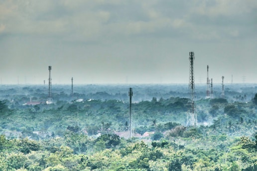 Close-up of IoT sensors embedded in forest soil transmitting data wirelessly.