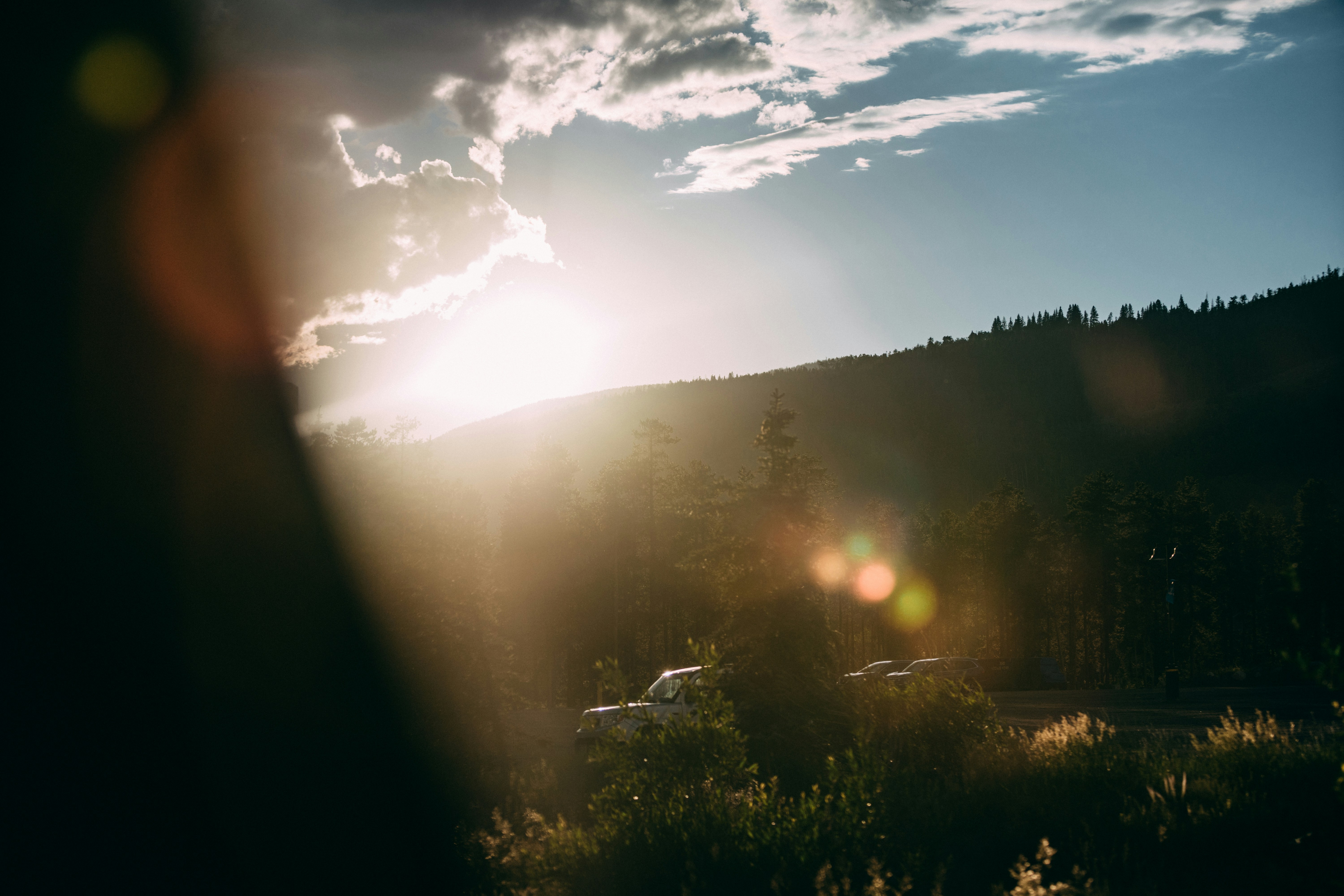 Bluzelle header image