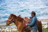 a man riding a brown horse next to a body of water