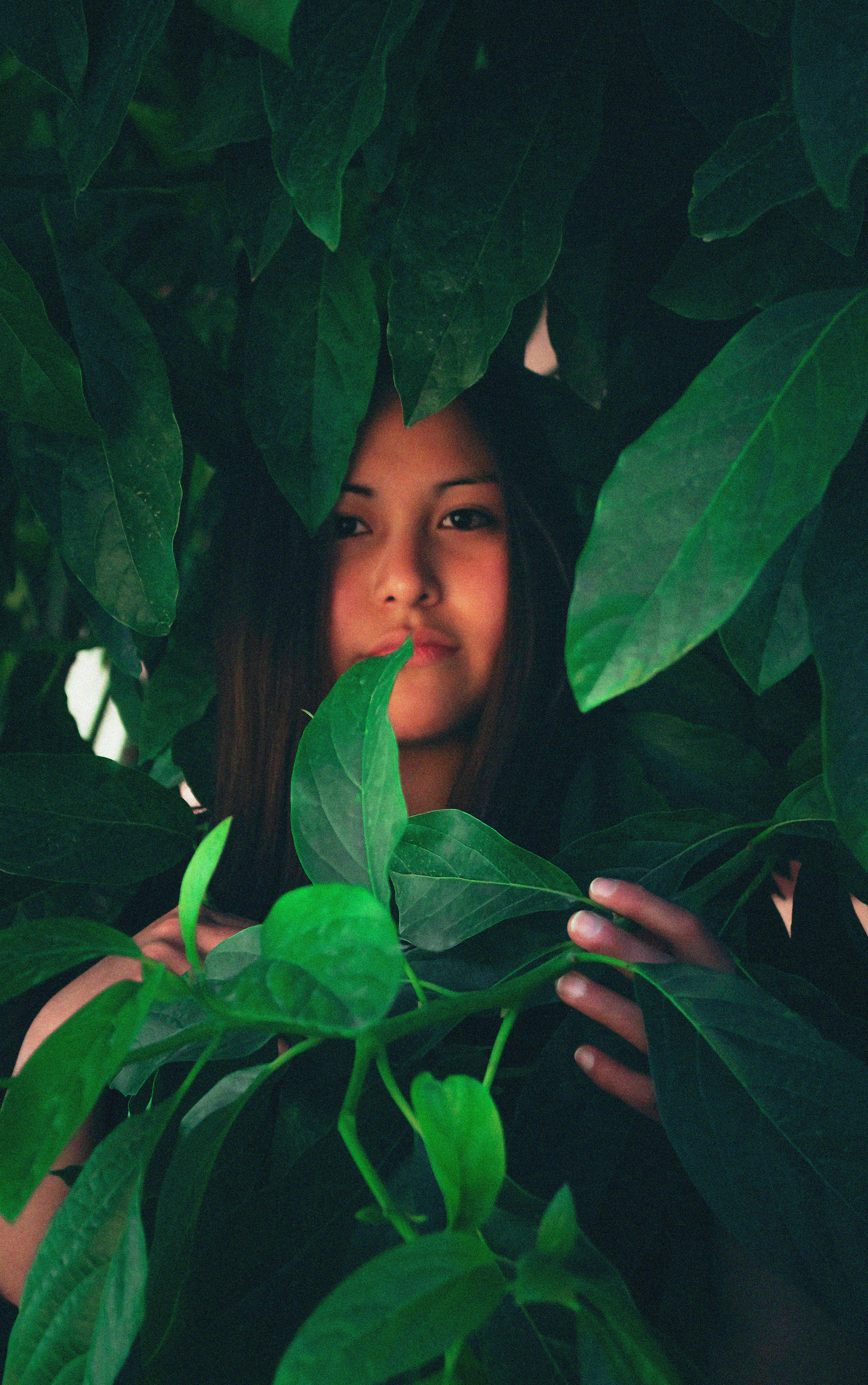 Photo by brayangarcia27