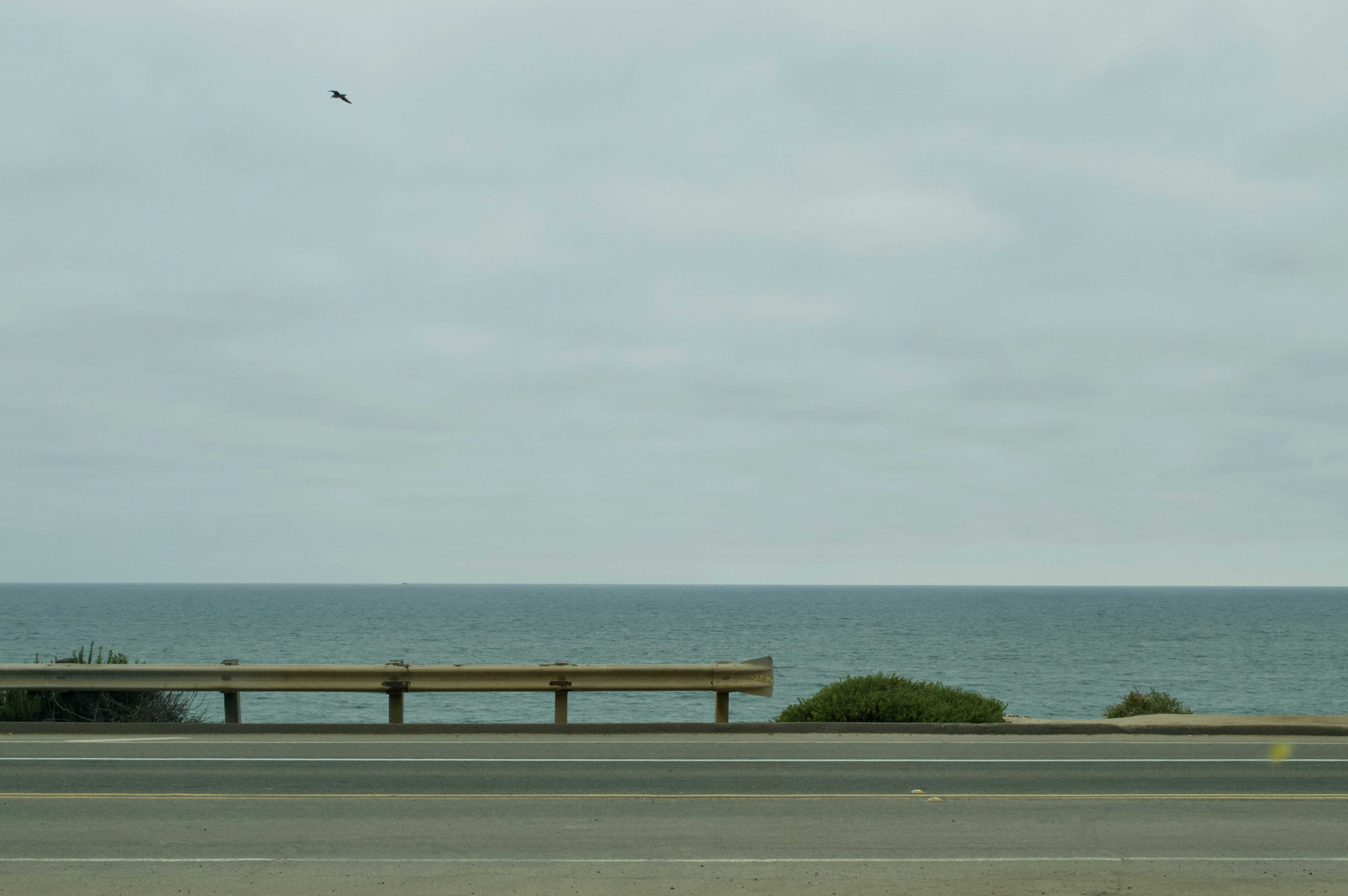 Photo by gsilver2323