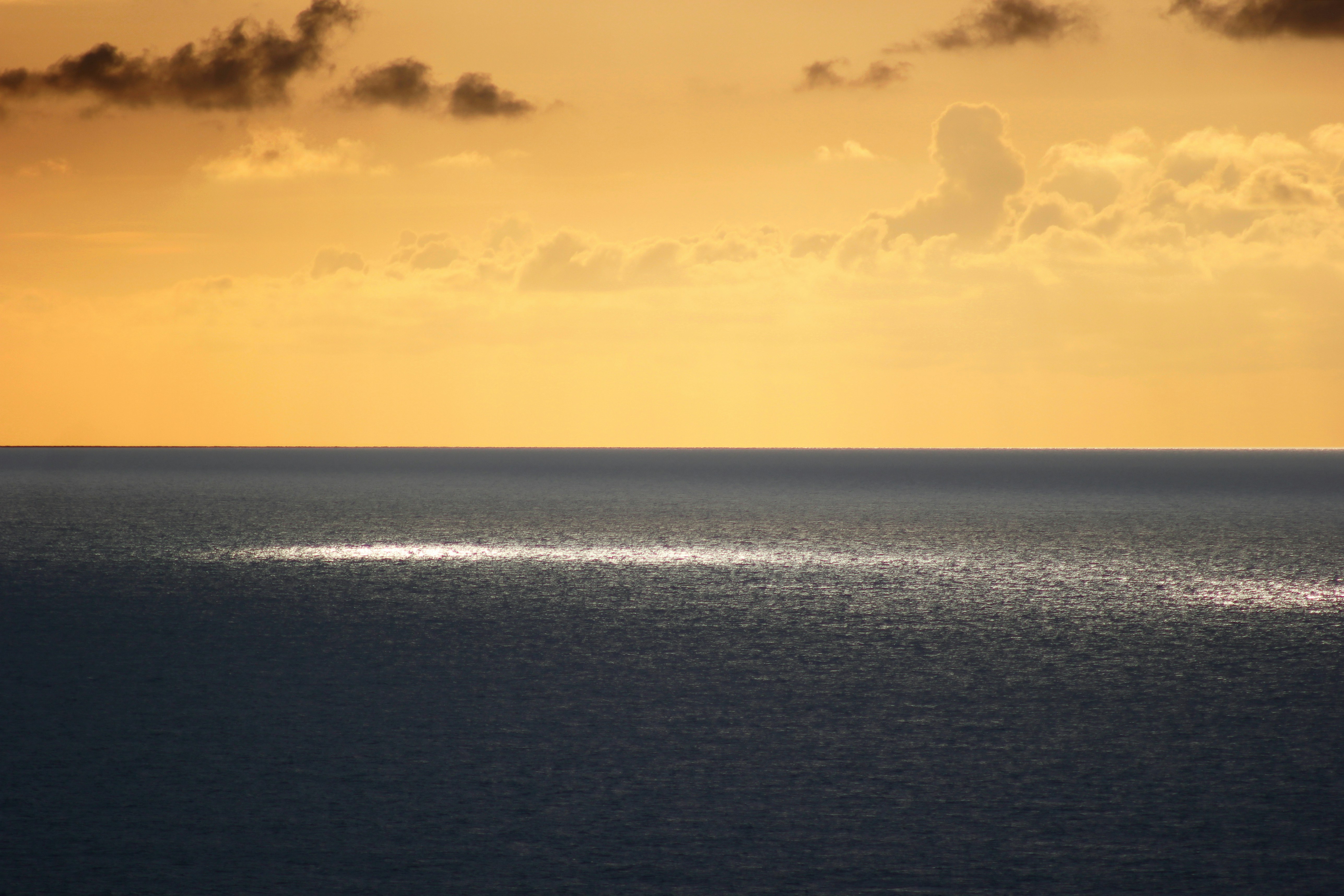 Photo by guillerisback