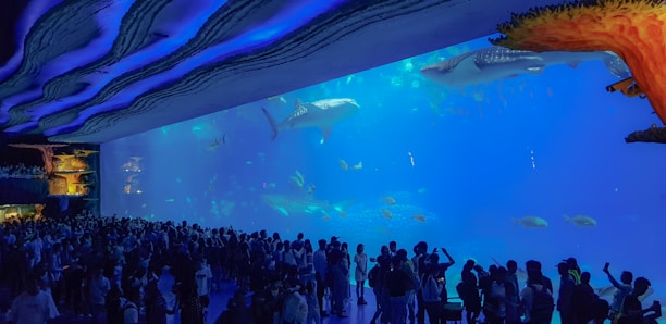 A large aquarium filled with various species of fish, including several large sharks, is viewed by a crowd of spectators. The aquarium's interior features vibrant blue lighting, enhancing the underwater ambiance. The ceiling has a unique, wavy design, adding to the immersive experience. The crowd appears engaged, some taking photos.
