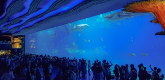 A large aquarium filled with various species of fish, including several large sharks, is viewed by a crowd of spectators. The aquarium's interior features vibrant blue lighting, enhancing the underwater ambiance. The ceiling has a unique, wavy design, adding to the immersive experience. The crowd appears engaged, some taking photos.