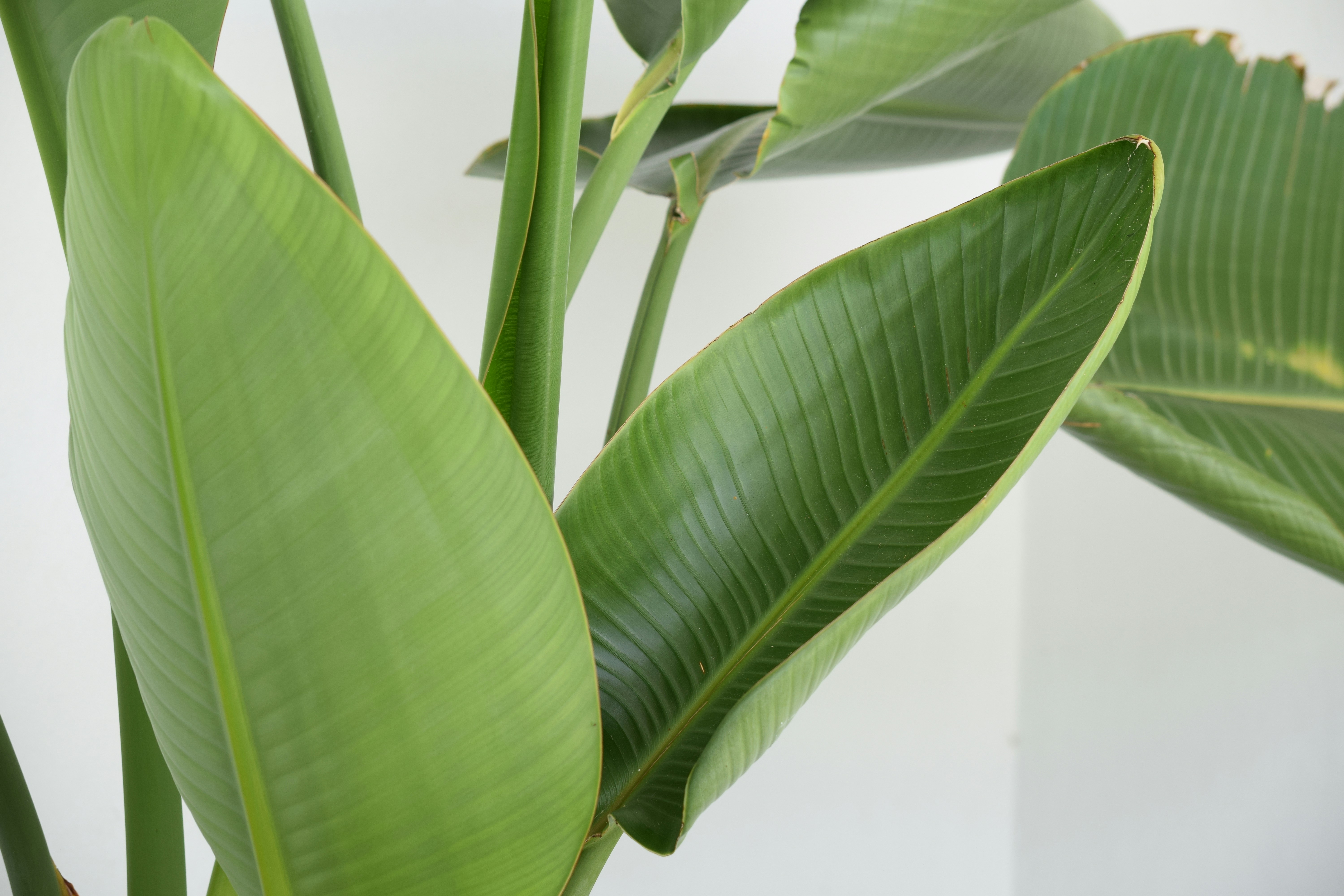 Photo by kristenalyce