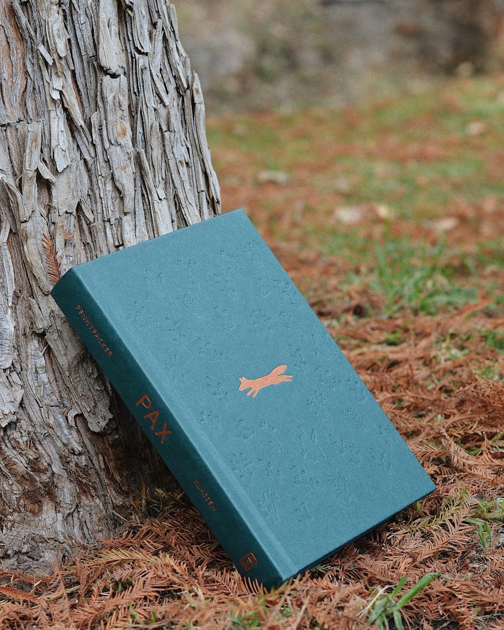 blue hardbound book on tree