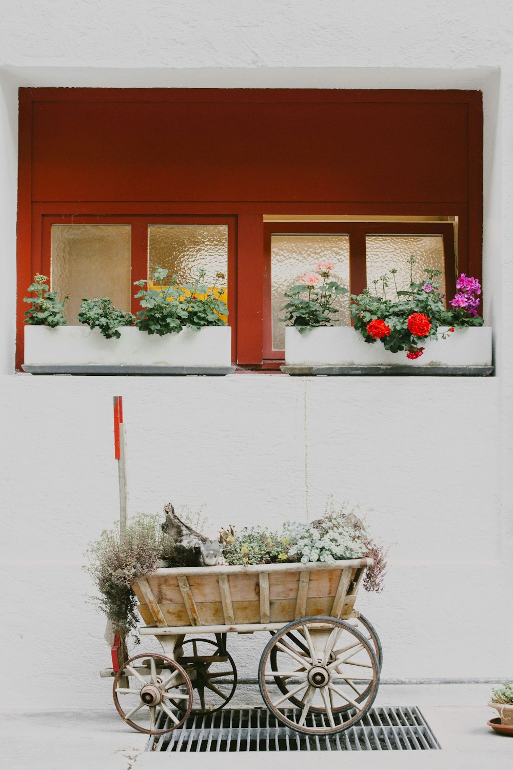 flowers on wheelbarrow