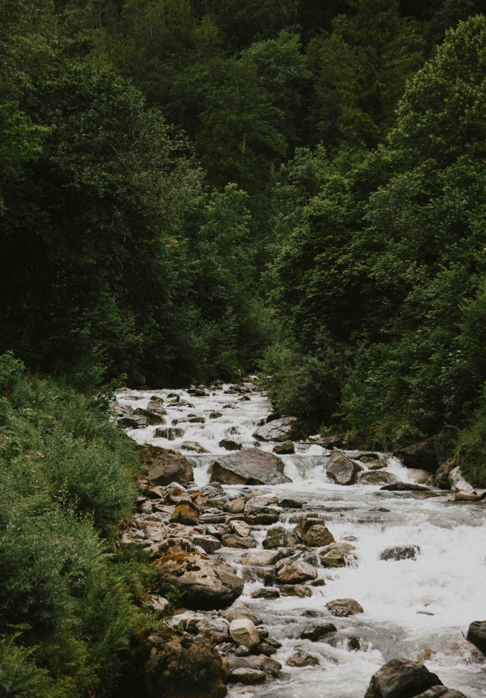 river on focus photography