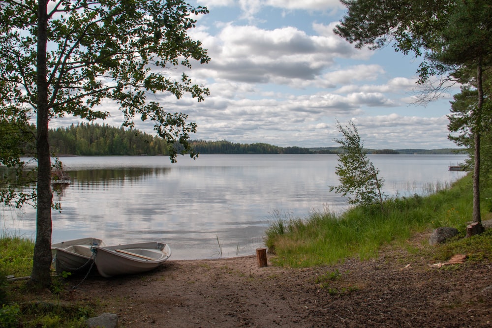 two boats on dock near the river