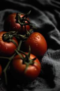 Tomates Frescos