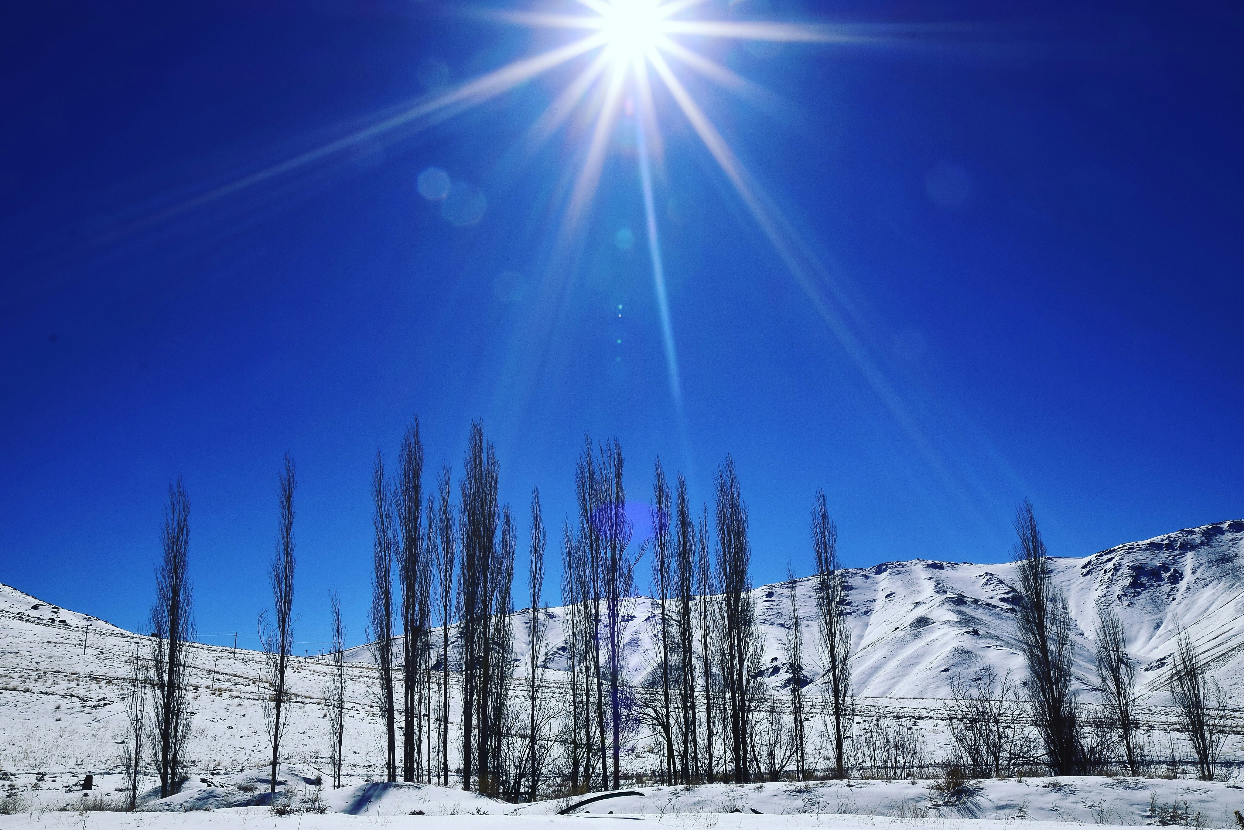 Photo by sajjad_aslani