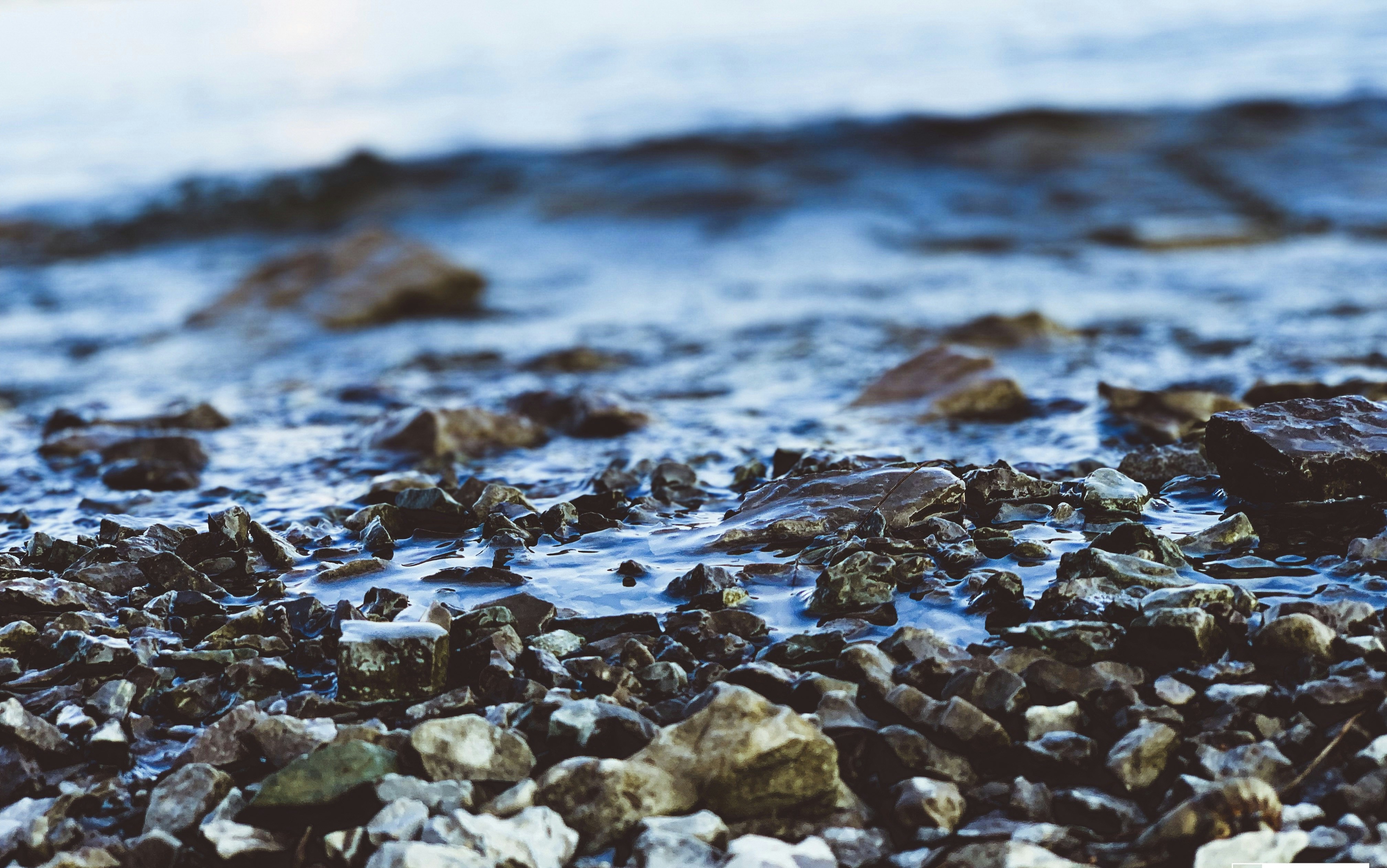 Photo by calebmclean