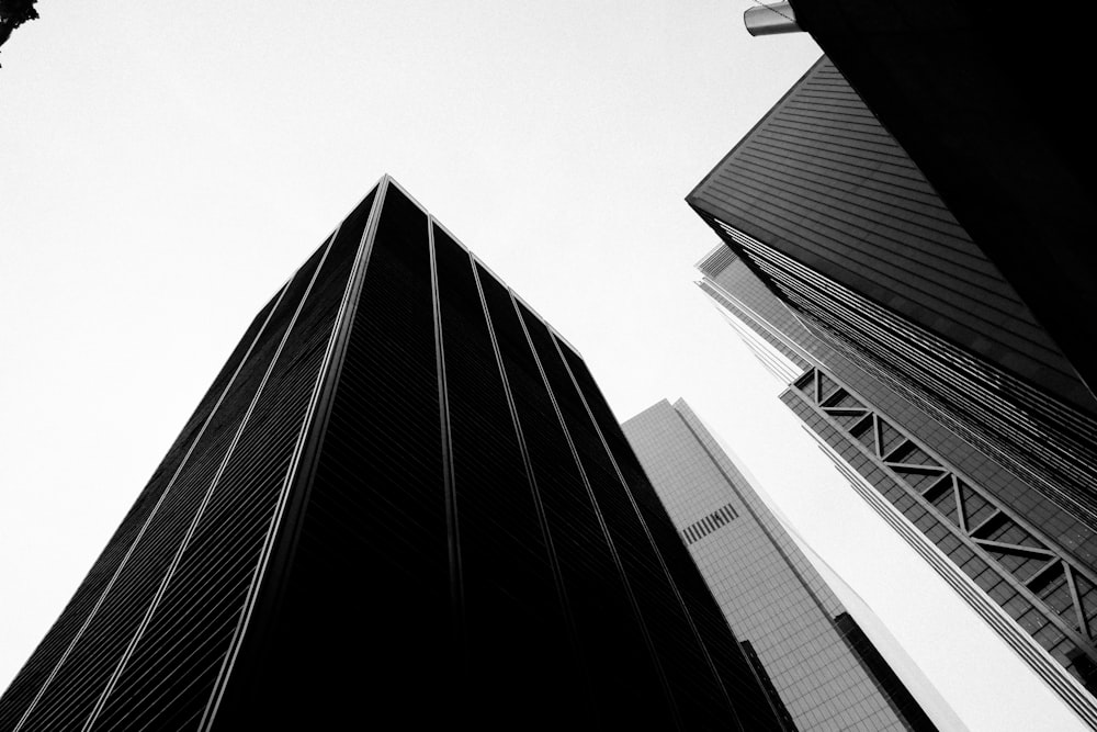 a black and white photo of tall buildings