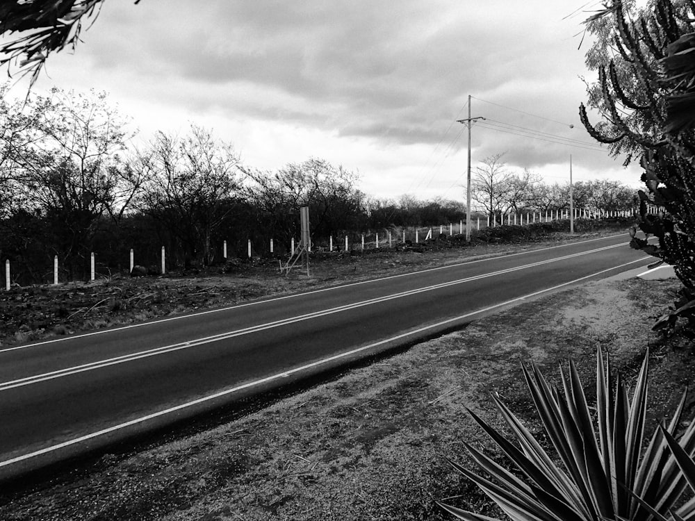 grayscale photo of road