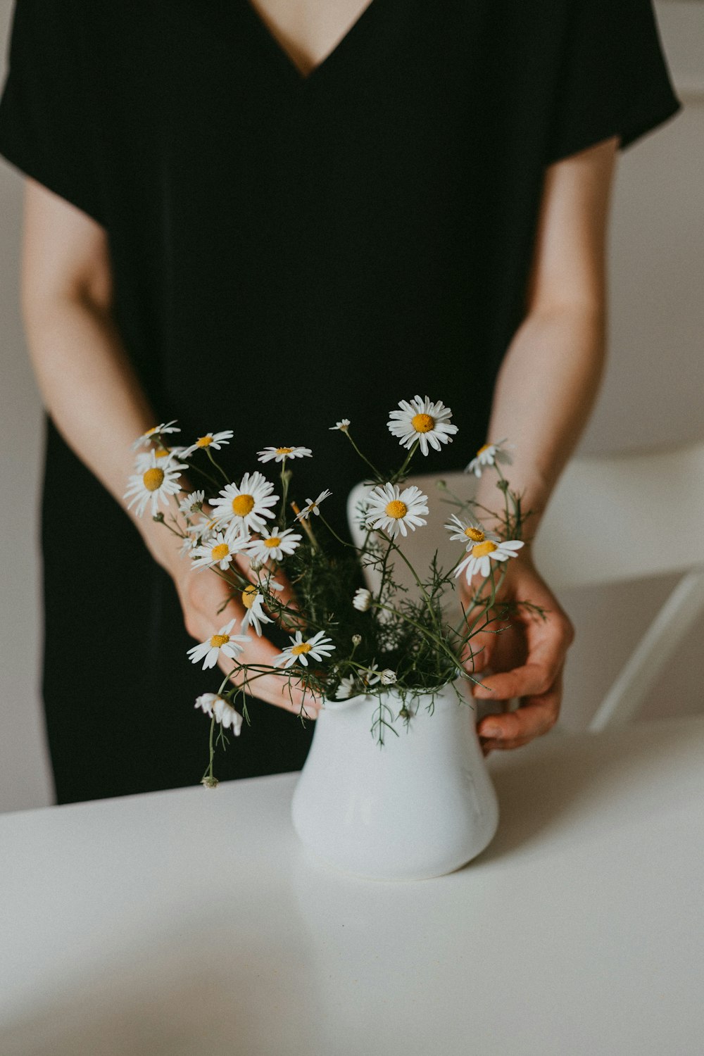 person standing and fixing white and yellow daisy flowers