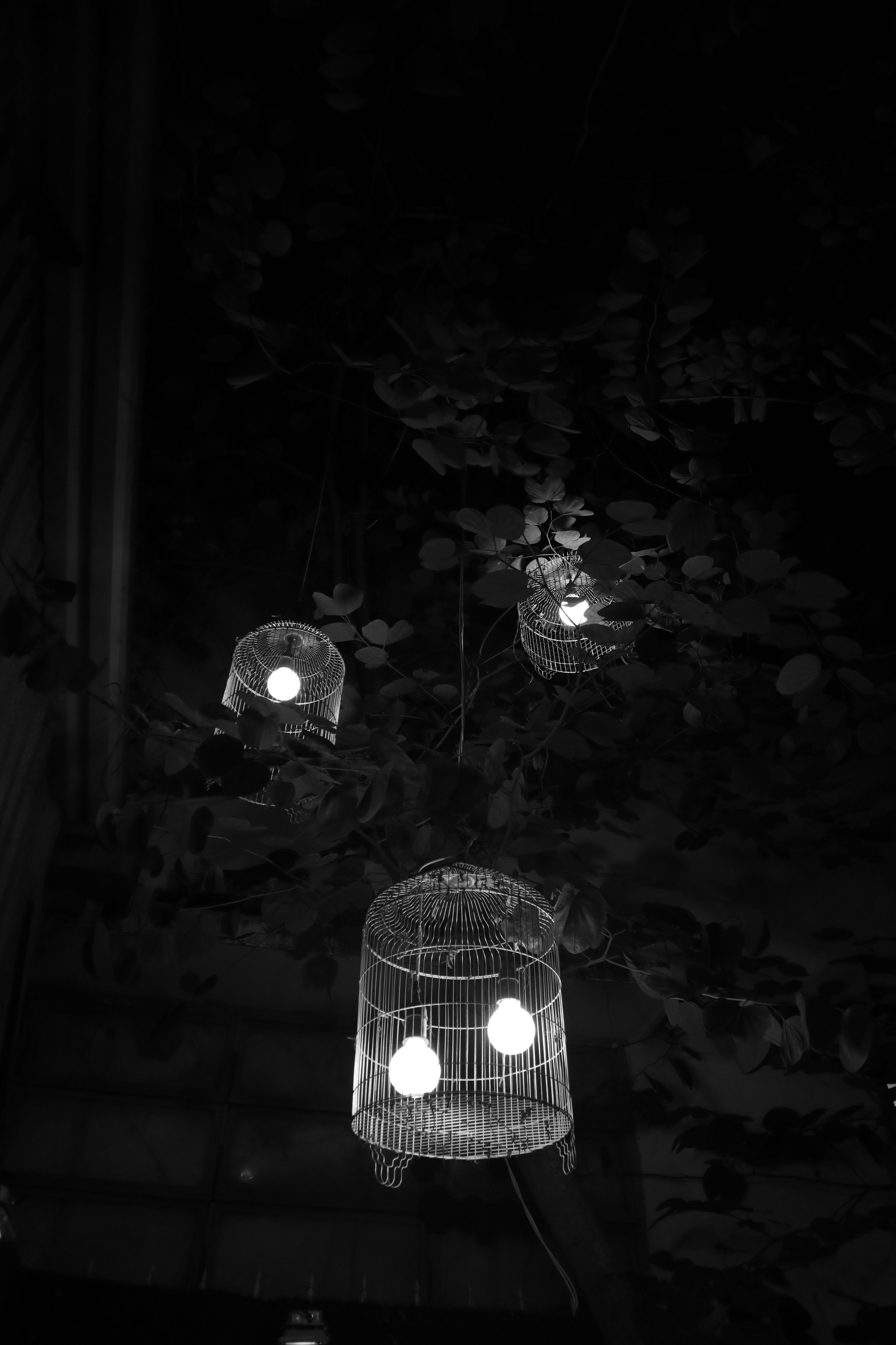 Photo by camgiang2209