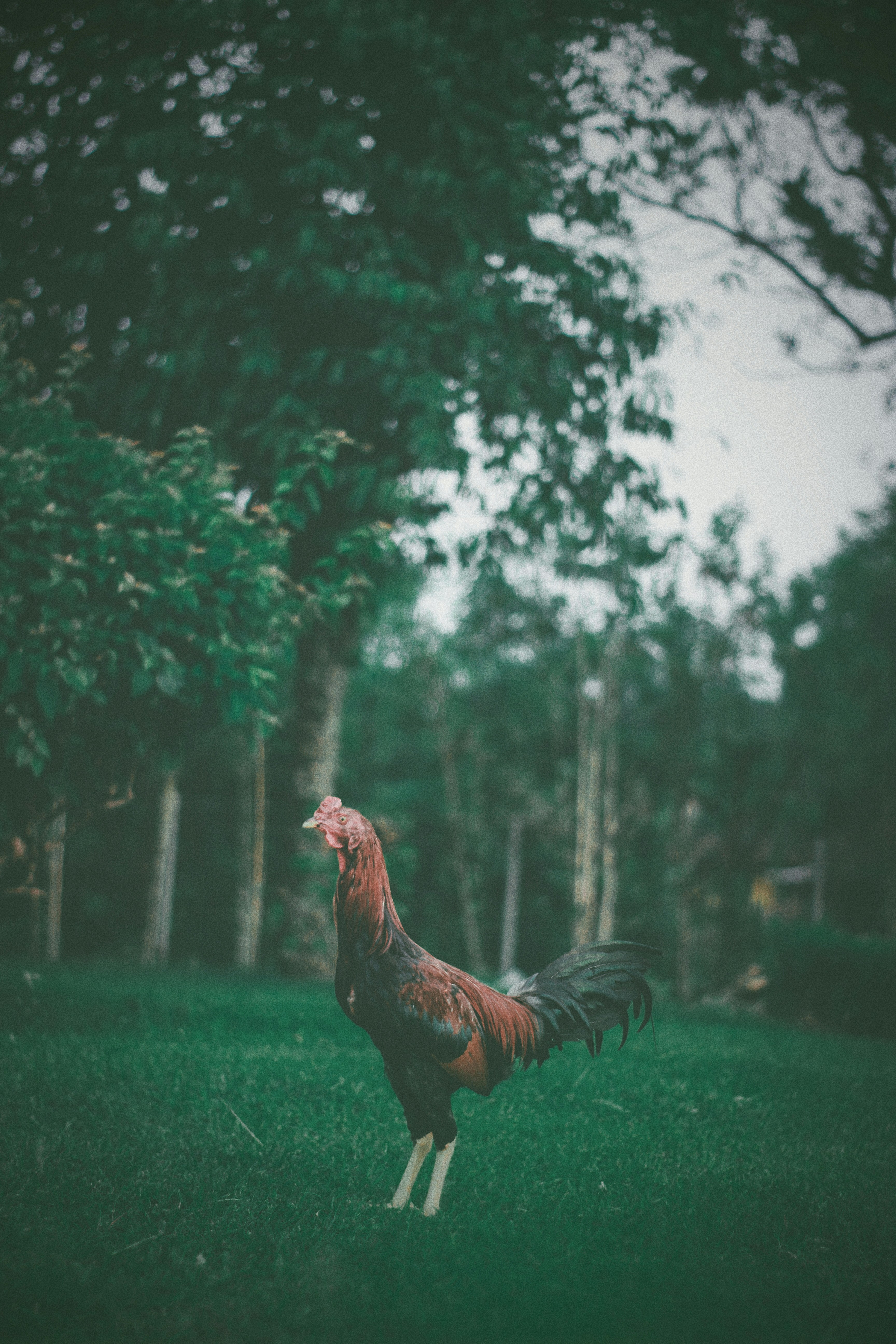 Photo by muhammaddsy