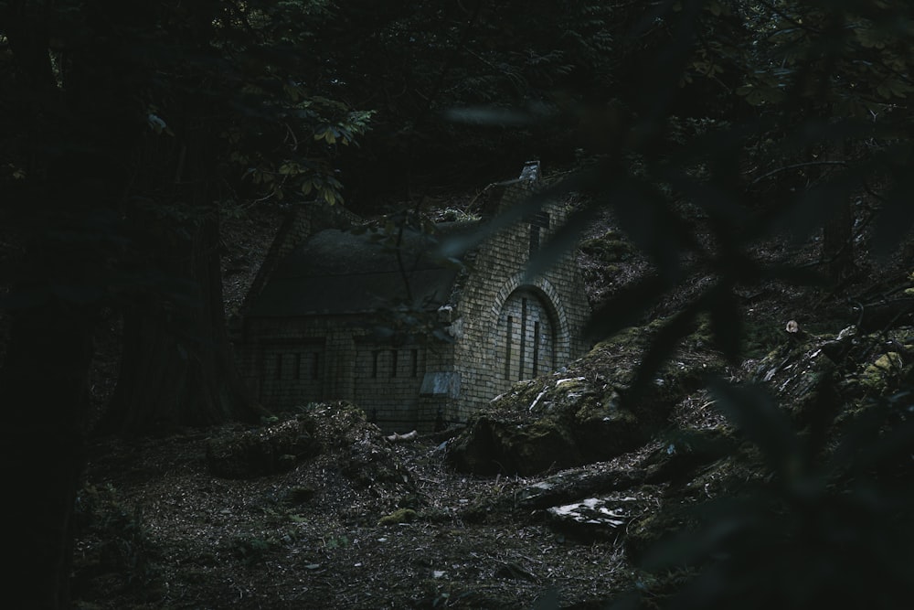 Maison en béton entourée d’arbres