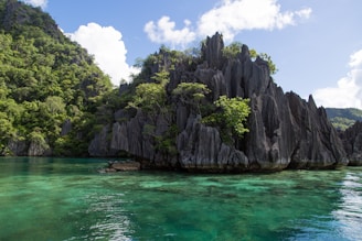 A scenic view of lush greenery and limestone cliffs in Los Haitises National Park.
