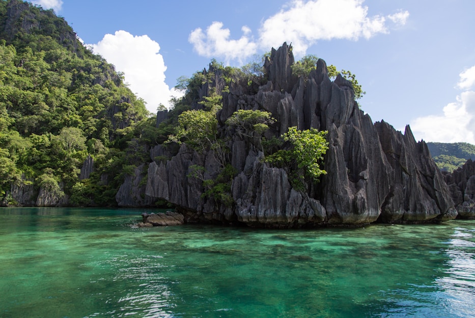A scenic view of lush greenery and limestone cliffs in Los Haitises National Park.