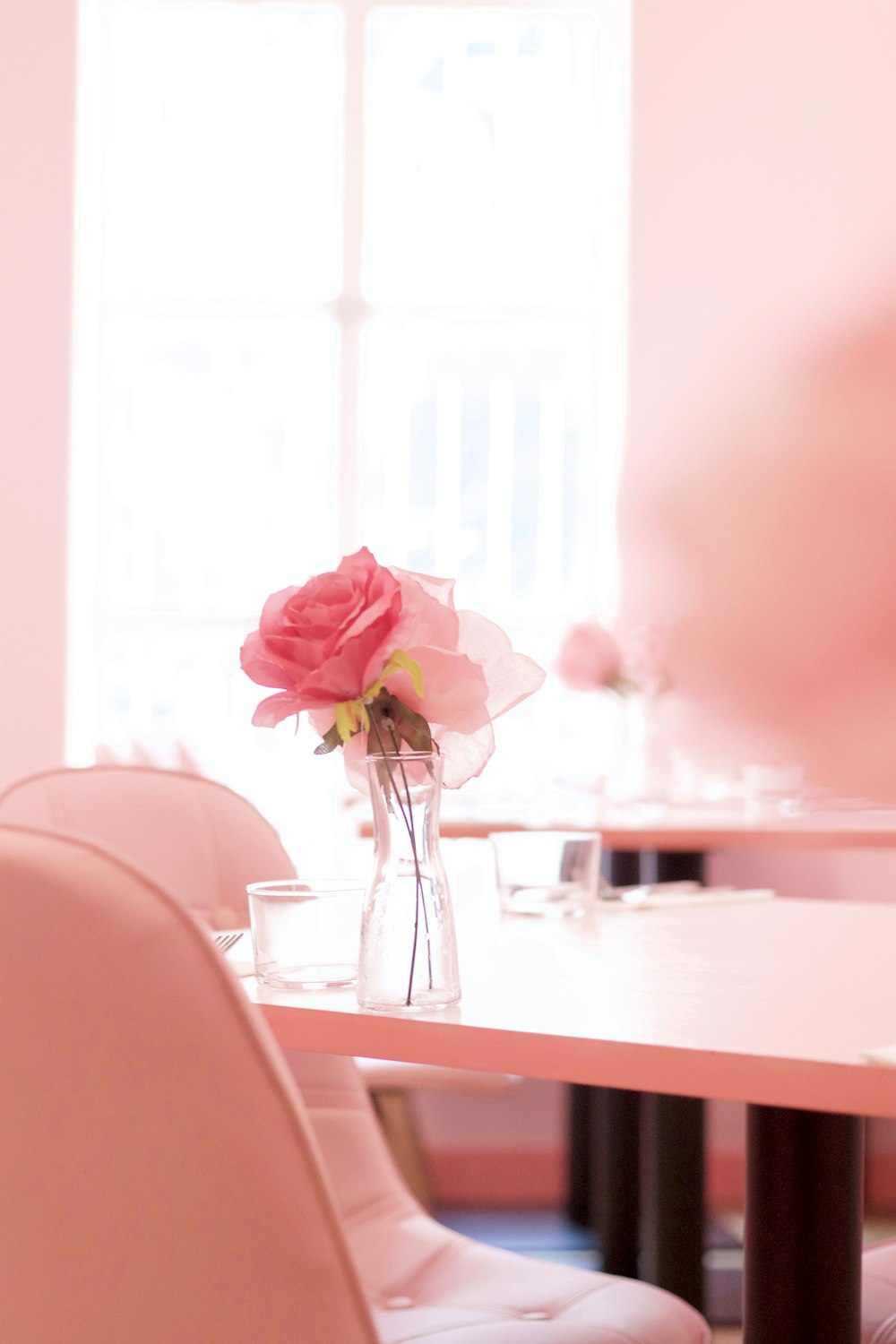 pink roses on clear glass vase