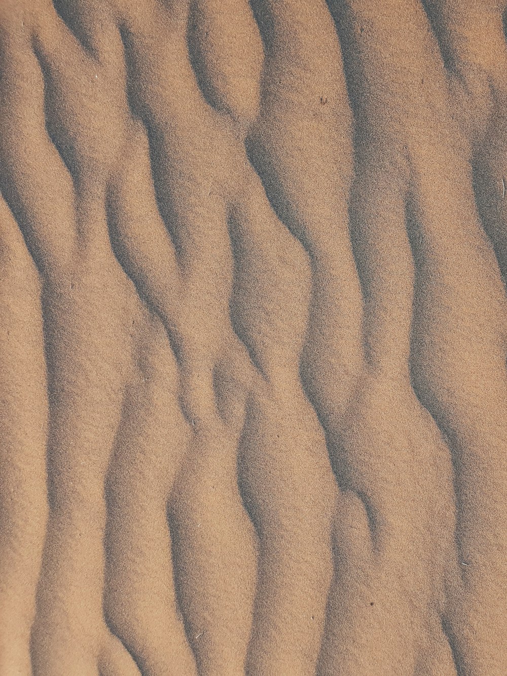 close view of sand dunes