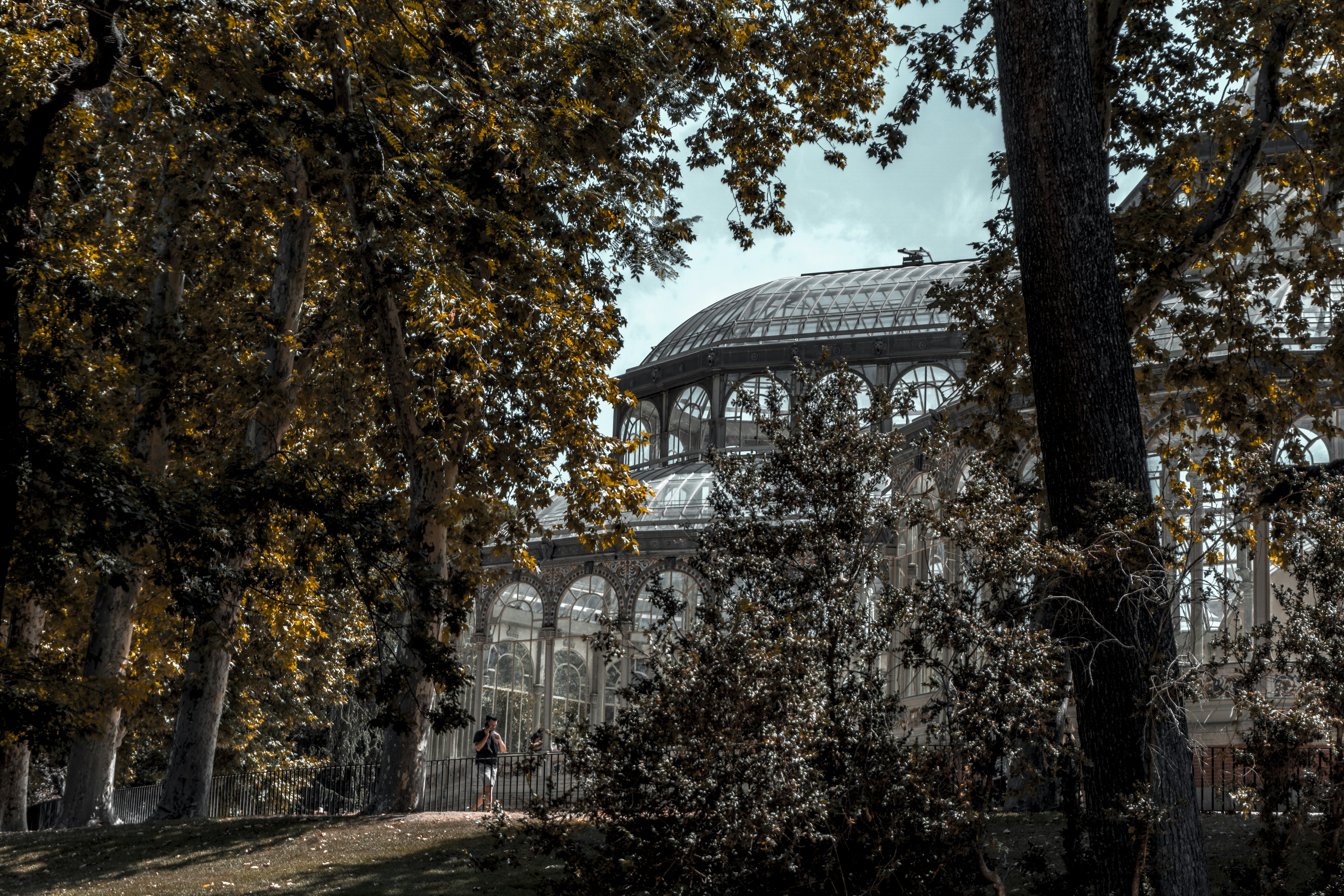 palacio de cristal