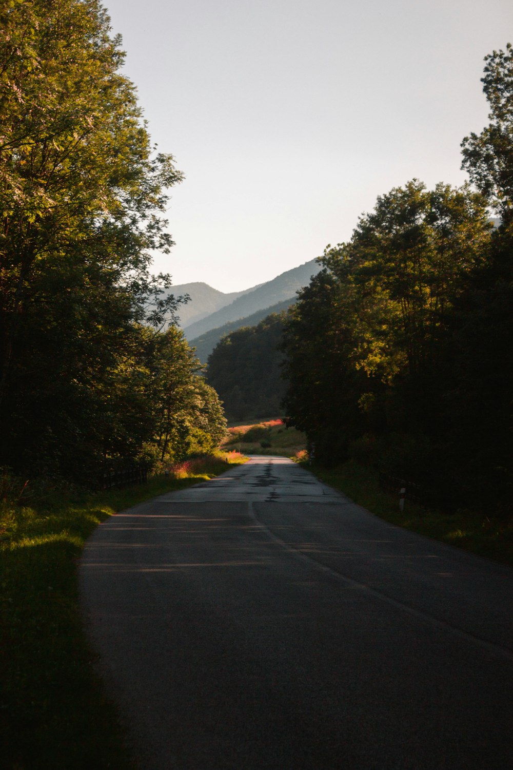 route vide à travers une zone rurale