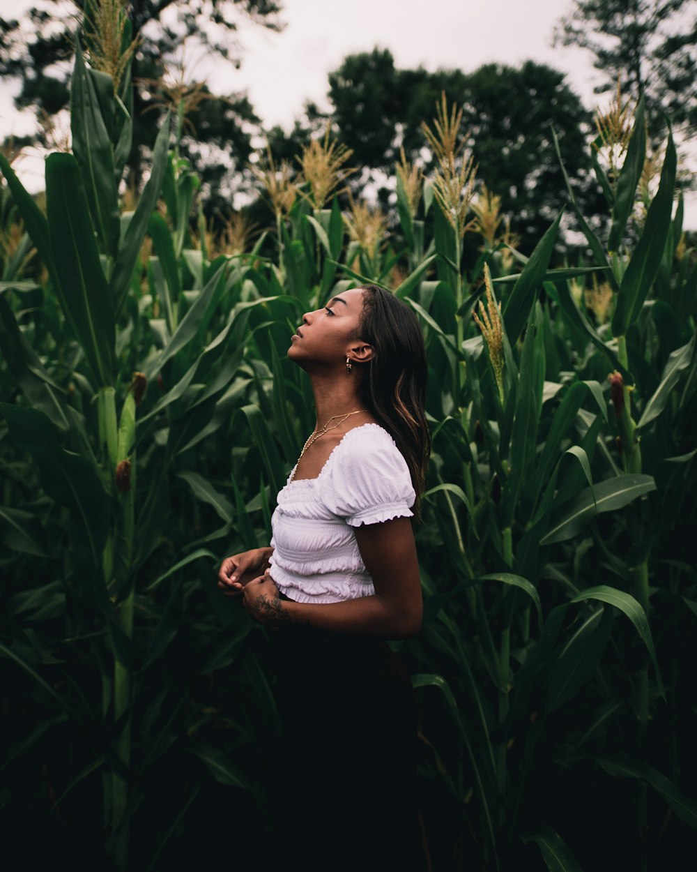 donna che indossa una camicetta bianca in piedi accanto alla pianta di mais