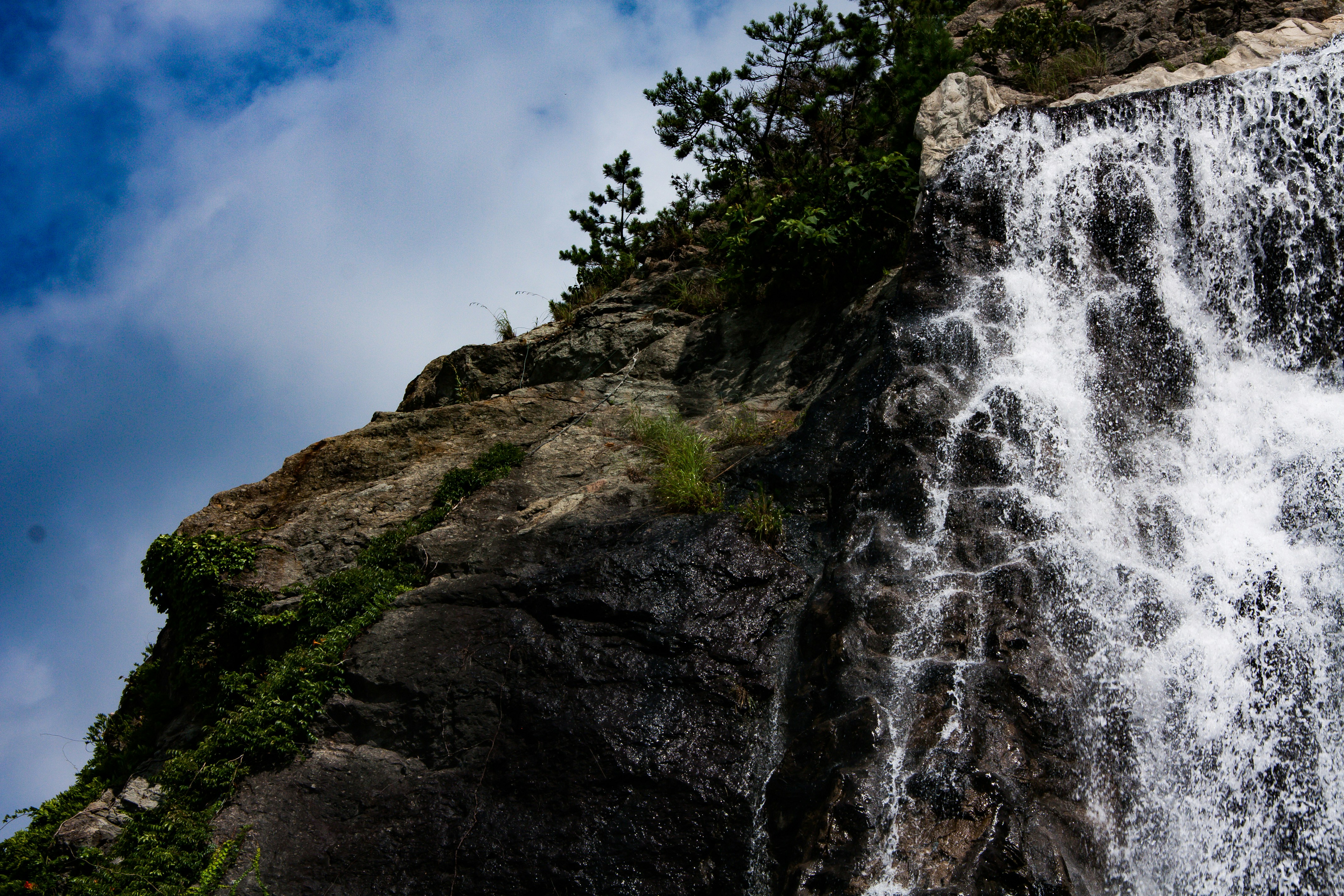 Photo by soprano_musings_photography