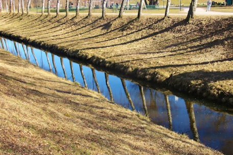 A clear stream is bordered by neatly trimmed grass embankments, and on one side, a row of evenly spaced trees casts long shadows across the ground and over the water. The reflection of the trees creates a striking visual alignment with the actual trees and their shadows. In the background, there is a park area with people walking and relaxing.