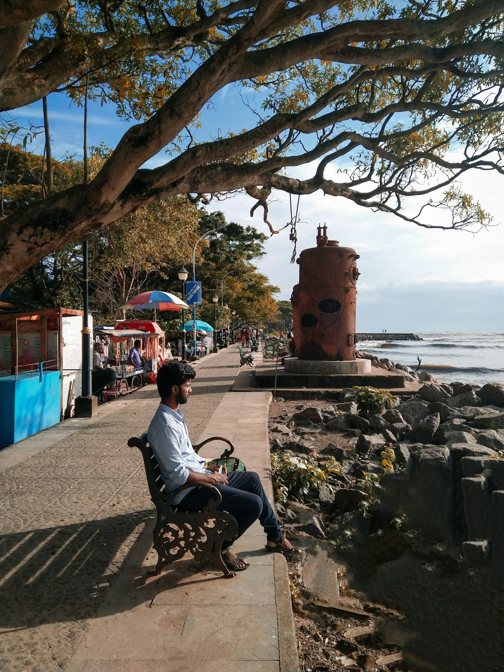 homme assis sur un banc sous un arbre face au bord de la mer pendant la journée