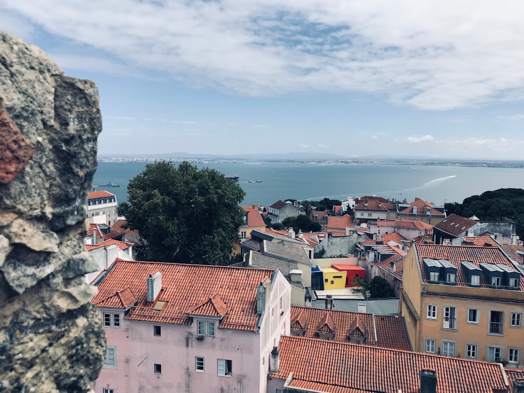 Town photo spot R. das Flores de Santa Cruz 7 Lisbon