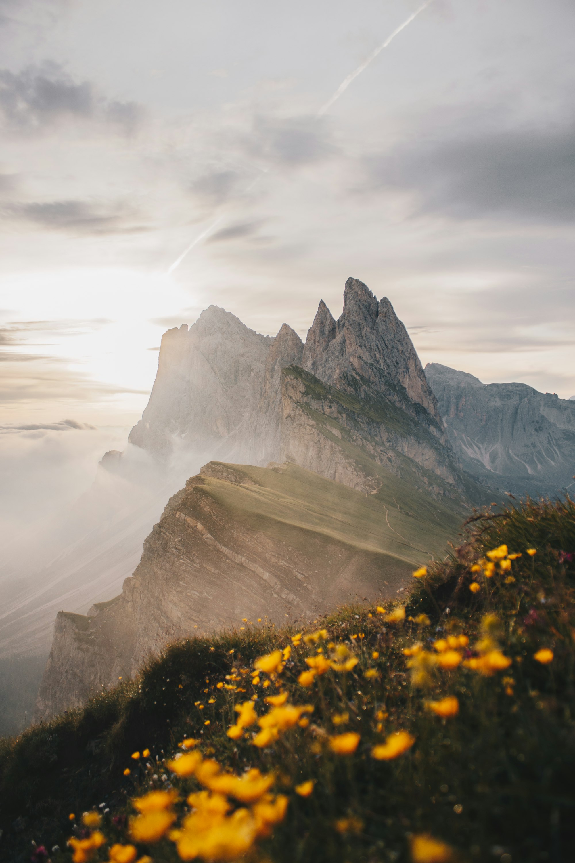 I will never get tired of the feeling of the soft heat coming from a sunrise after freezing at 2500m, coming with warm and soft light serving this golden landscape of Seceda in the Dolomites in South Tyrol, Italy.