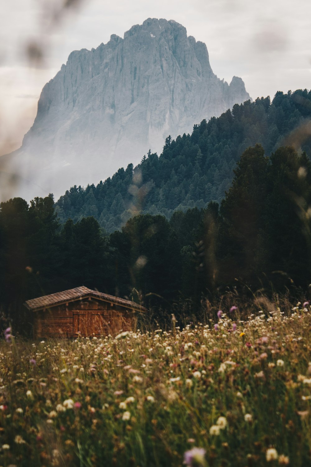 grey barren hill near brown wooden cottage in valley