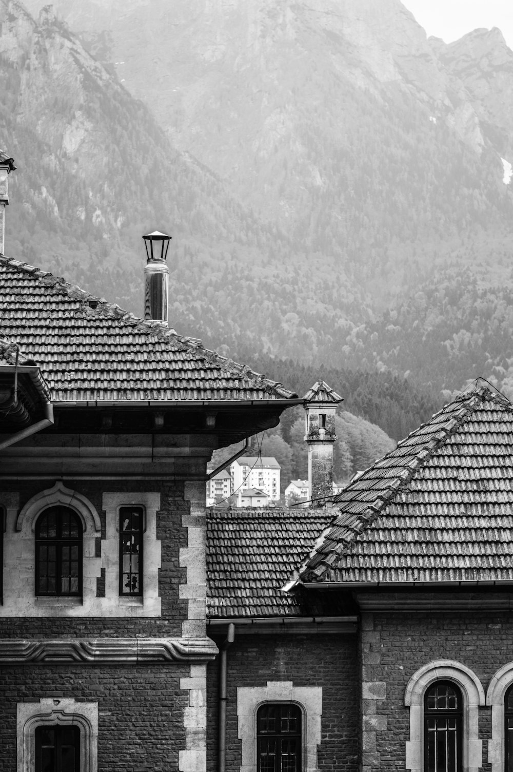Photographie en niveaux de gris d’une maison près de la montagne